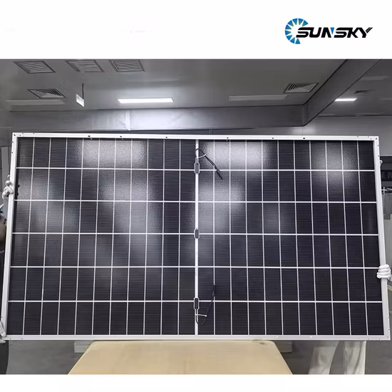 インバーター ホームソーラーシステム 1000W 2000W 3000W オフグリッドソーラーインバーター